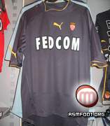 Prototype2004puma13